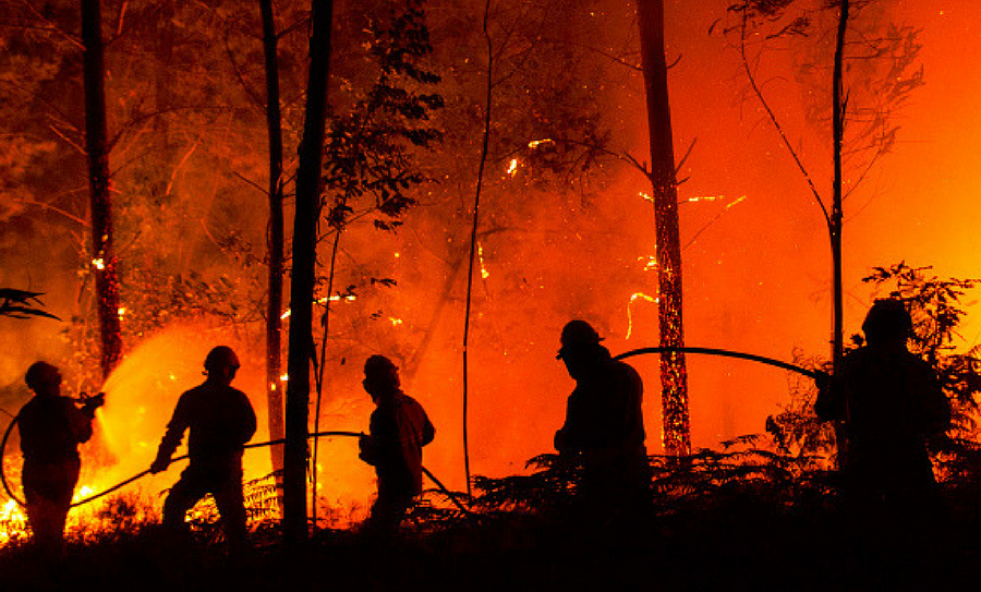 incendios forestales son provocados por el hombre, incendios, incendios forestales, Semarnat