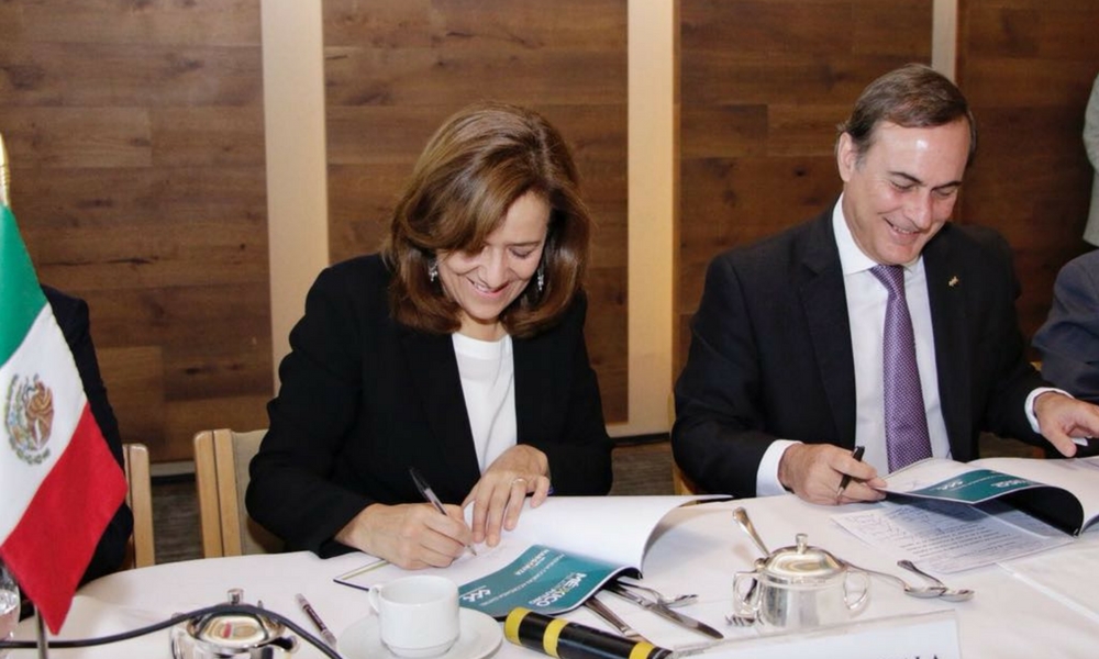 Zavala devuelve al INE un tercio, Zavala, Margarita Zavala, independiente INE, elecciones2018