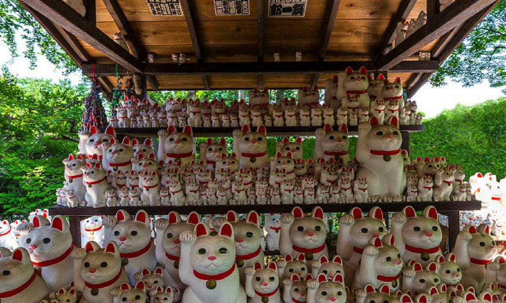 templo de los 'gatos de la suerte'