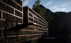 biblioteca en medio del bosque