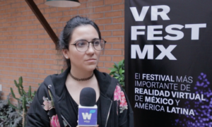 VR Fest Mx