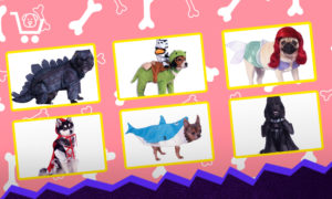Disfraces para mascotas