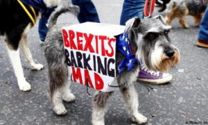 Perros protestan contra el Brexit-3