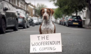 Perros protestan contra el Brexit