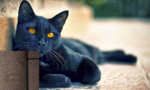 supersticiones más comunes en México (4)