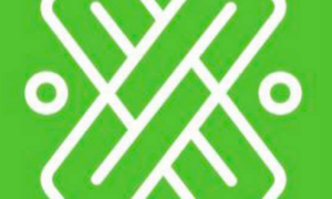 nuevo logo de la CDMX
