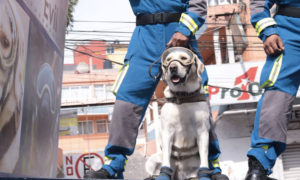 ‘Frida’ fue recibida entre aplausos y ovaciones