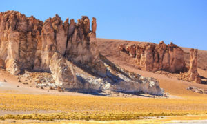 Mueren especies en el desierto de Atacama