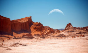 Mueren especies en el desierto de Atacama