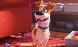 secuela de ‘La Vida Secreta de tus Mascotas’
