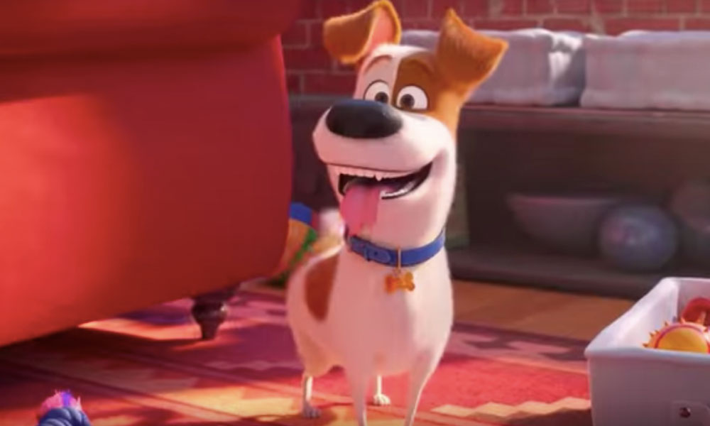 secuela de ‘La Vida Secreta de tus Mascotas’