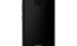 black_back