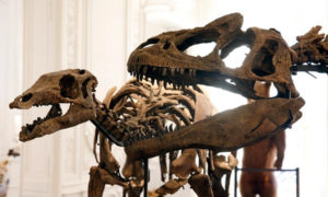 hhuellas del dinosaurio más pequeño