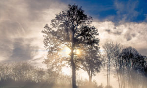 solsticio de invierno