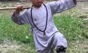Niño es maestro de Kung Fu