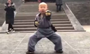 Niño es maestro de Kung Fu
