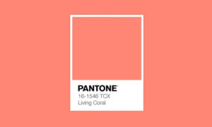 Pantone reveló el color del año 2019
