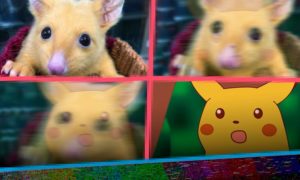 Pikachu en la vida real