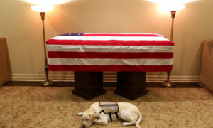 perrito de George Bush se despidió