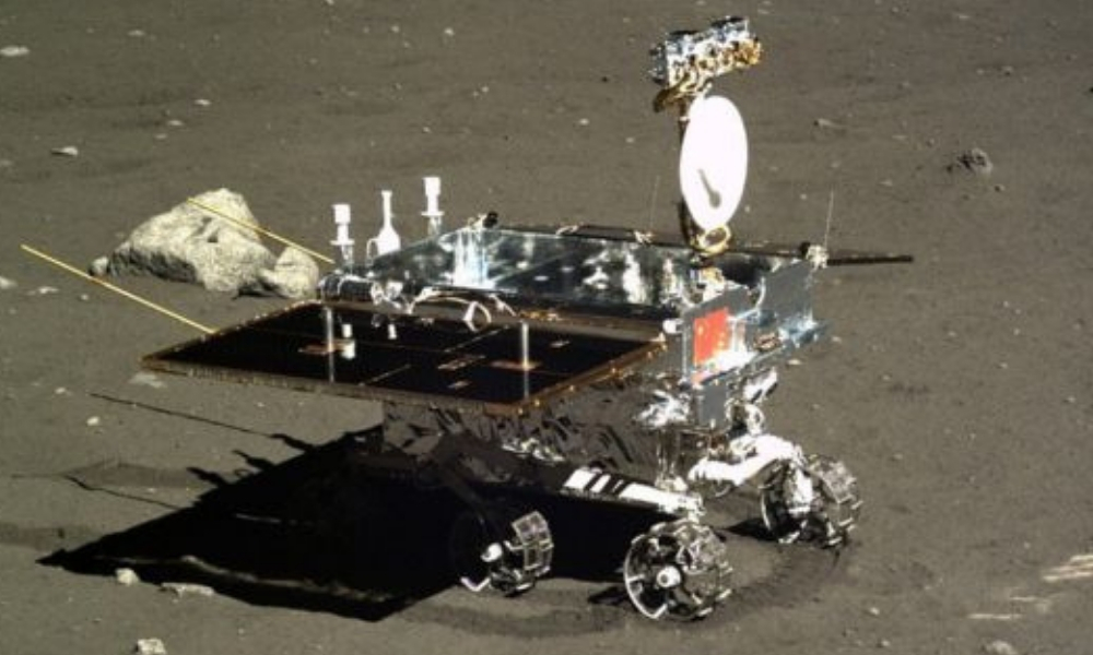 Plata que germinó en la Luna muere-2