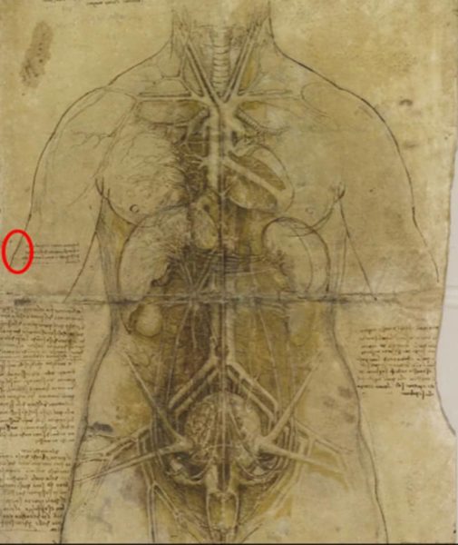 huella dactilar de Leonardo Da Vinci