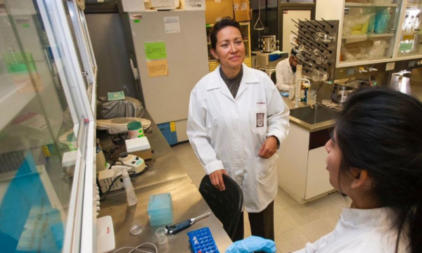 eliminaron el Virus del Papiloma Humano