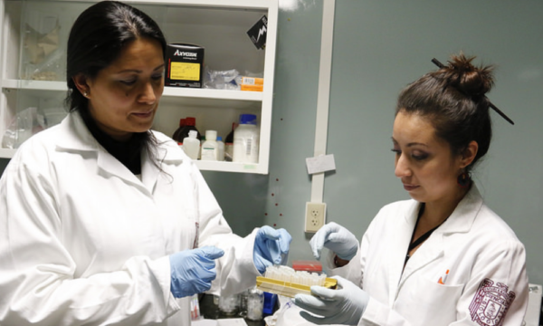 eliminaron el Virus del Papiloma Humano