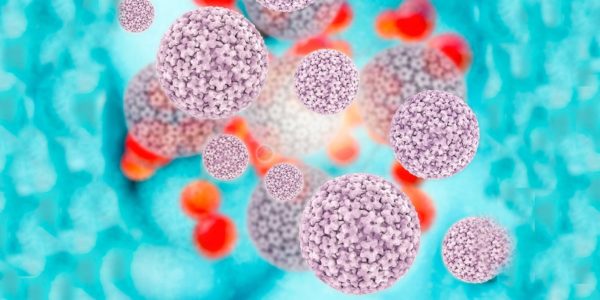 eliminaron el Virus del Papiloma Humano