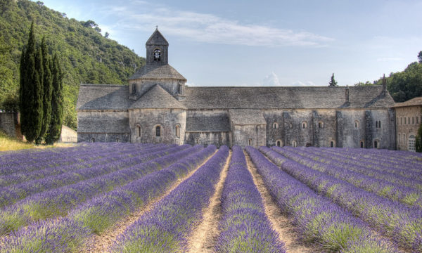 recibir la primavera en el mundo
