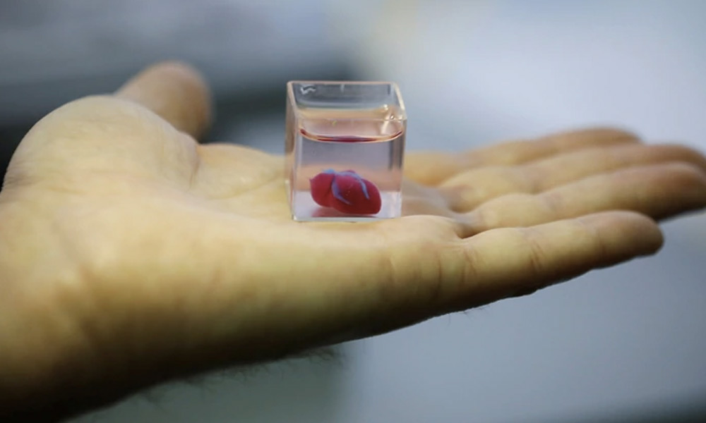 corazón vivo hecho con una impresora 3D