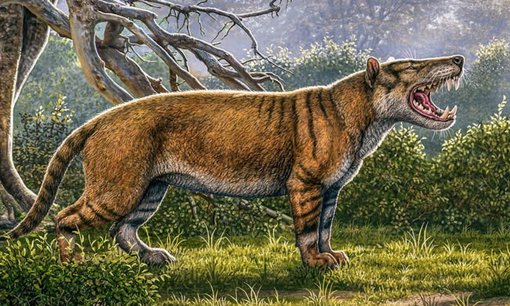 fósil de un mamífero gigante en África