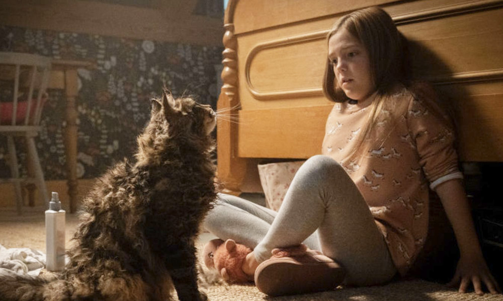 Datos de ‘Pet Sematary’