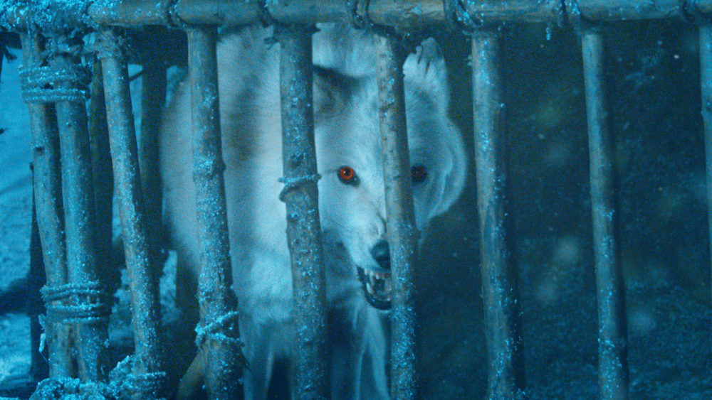 Tyrion pidió que no compren huskies por ser parecidos a los lobos Direwolves de 'GOT'