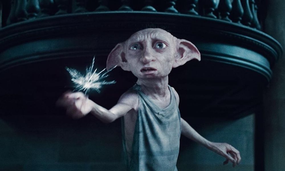 Cámara de seguridad captó a Dobby