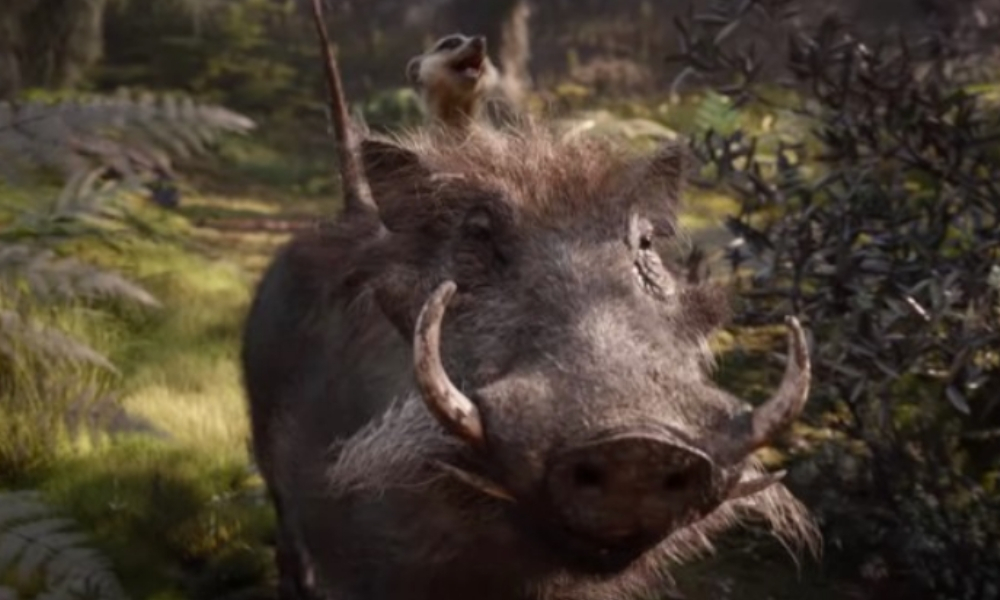 Live action de ‘Hakuna Matata’