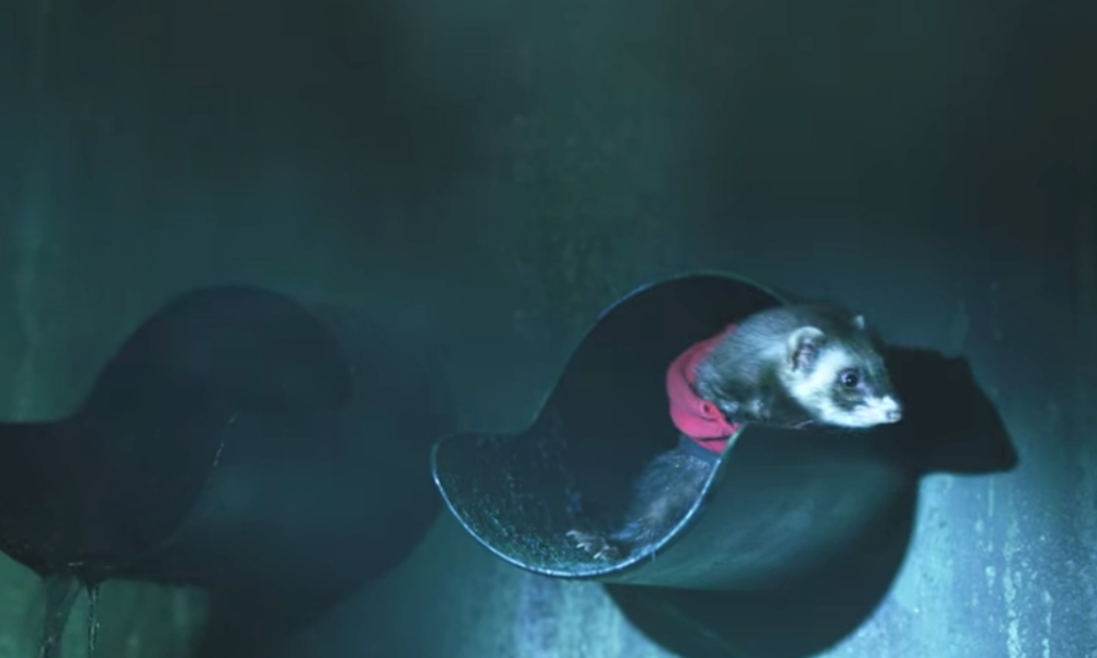 ¿Quién es ‘Sofía’ la nueva integrante de ‘La Casa de Papel’?