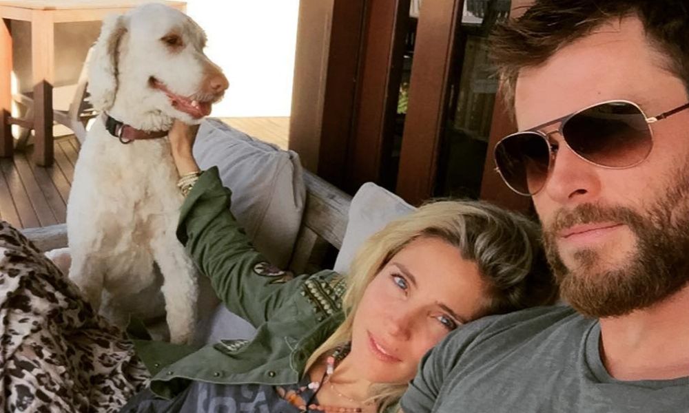 Chris Hemsworth y Elsa Pataky encuentran a su perro