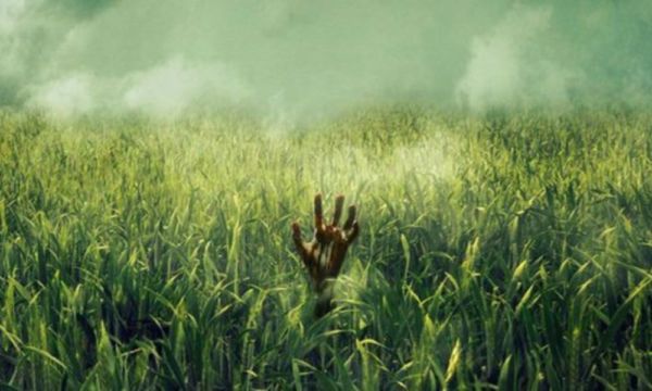 Películas basadas en novelas de Stephen King