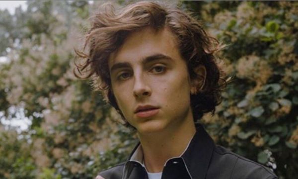 Timothée Chalamet y Jordan Fisher podrían interpretar al principe Eric