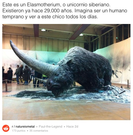 Mudhorn de The Mandalorian se basa en un animal extinto