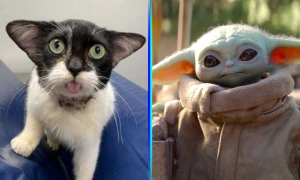cazarrecompensas de Star Wars (4)