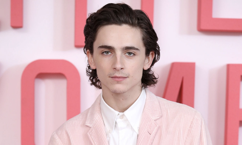 Timotheé Chalamet interpretará a Bob Dylan