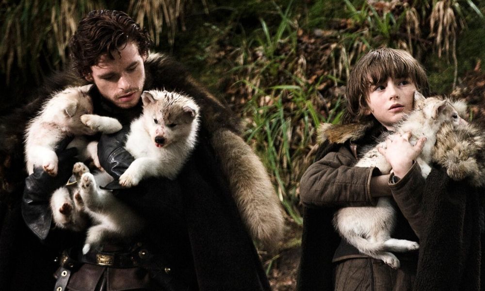 pierde la vida perro de ‘Game of Thrones’