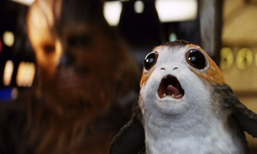 relación entre Chewbacca y los porgs