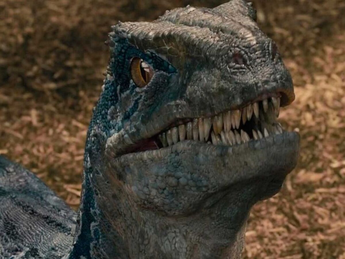 Jurassic World: Dominion' mostrará a los dinosaurios como nunca antes se  había visto en el cine