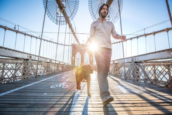 Lanzan una imagen completamente inédita de la película John Wick, donde vemos a Keanu Reeves en el set desde una perspectiva completamente nueva.