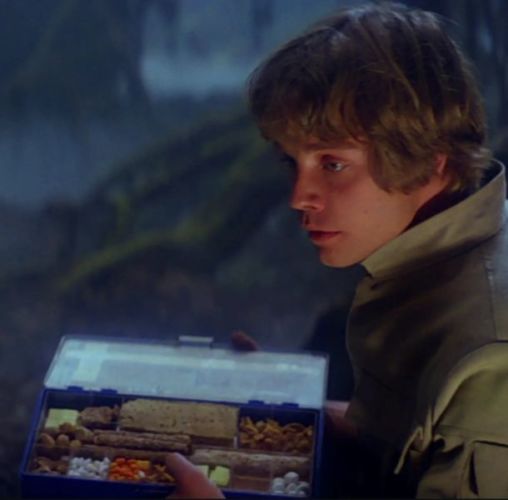 O que Mark Hamill como Luke Skywalker estava realmente comendo em seu  acampamento em Dagobah em O Império Contra-Ataca? - Quora