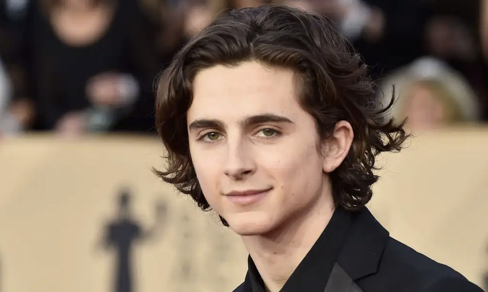 Marvel considera contratar a Timothée Chalamet